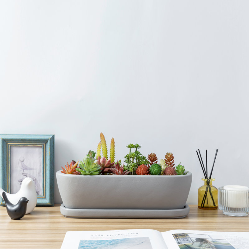 Oval Concrete Decorative Flower Pot Planter