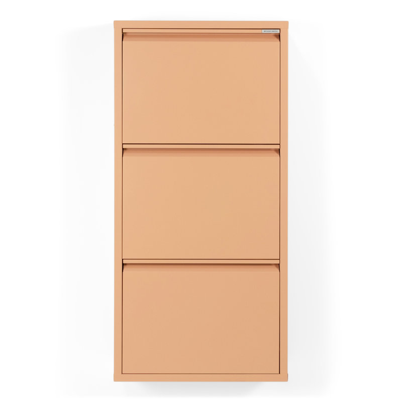 Billy 6 Pair Shoe Storage Cabinet