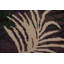 Tapis contemporain Gabbeh 4 x 6