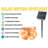 SolarLED 396'' Solar LED String Lights