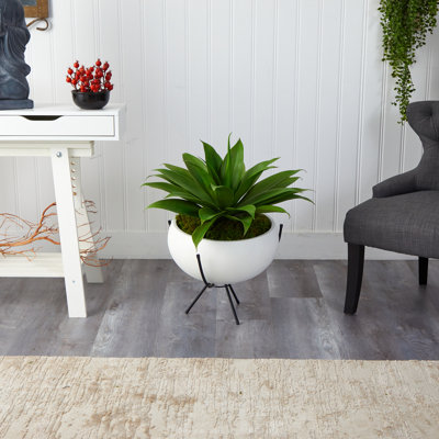 Plante grasse artificielle 30 po en pot