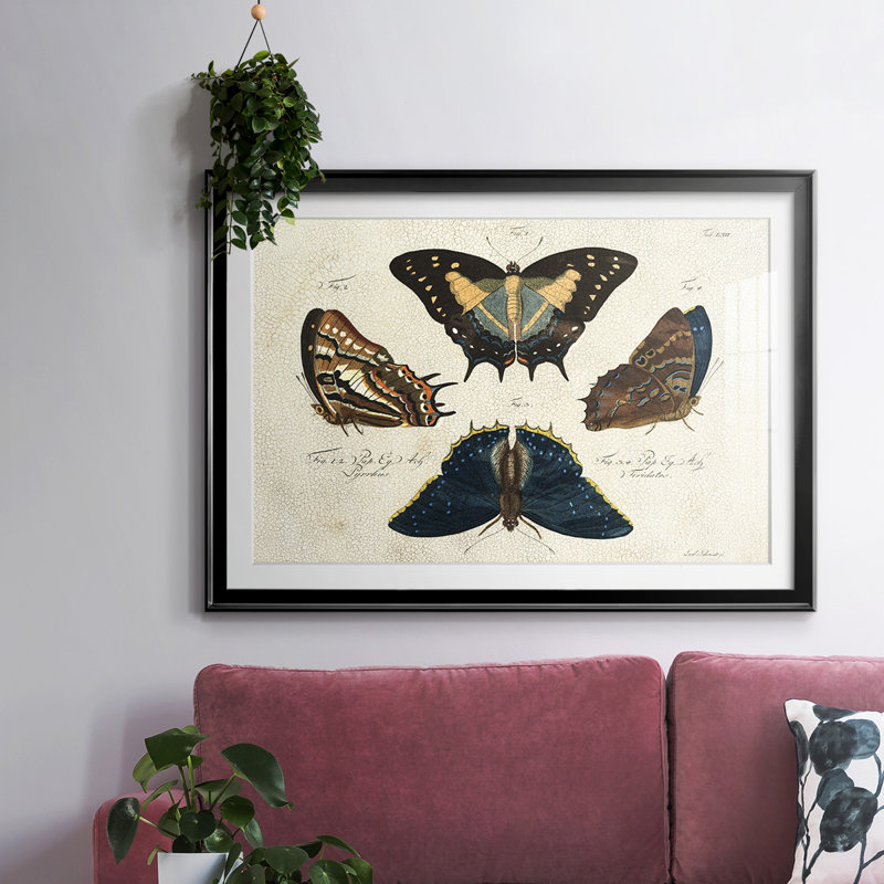 «Crackled Butterflies IV», reproduction d'art encadrée, Noir, H 15 po x l 21 po x P 1,5 po