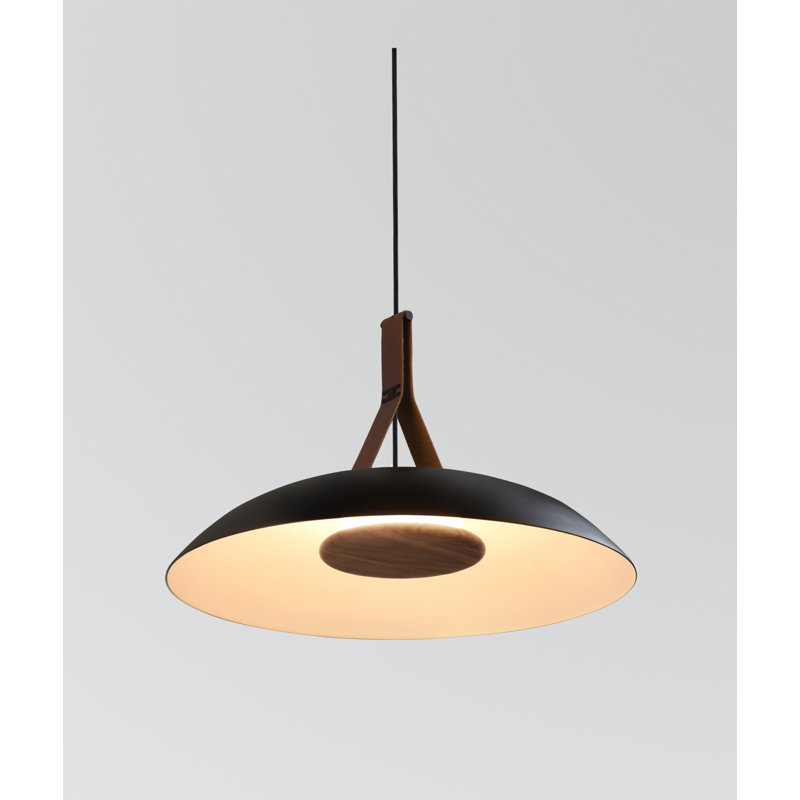 Volo 24" LED Pendant, 3000K, Deux