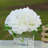 Silk Arrangement in Vase-1638059412