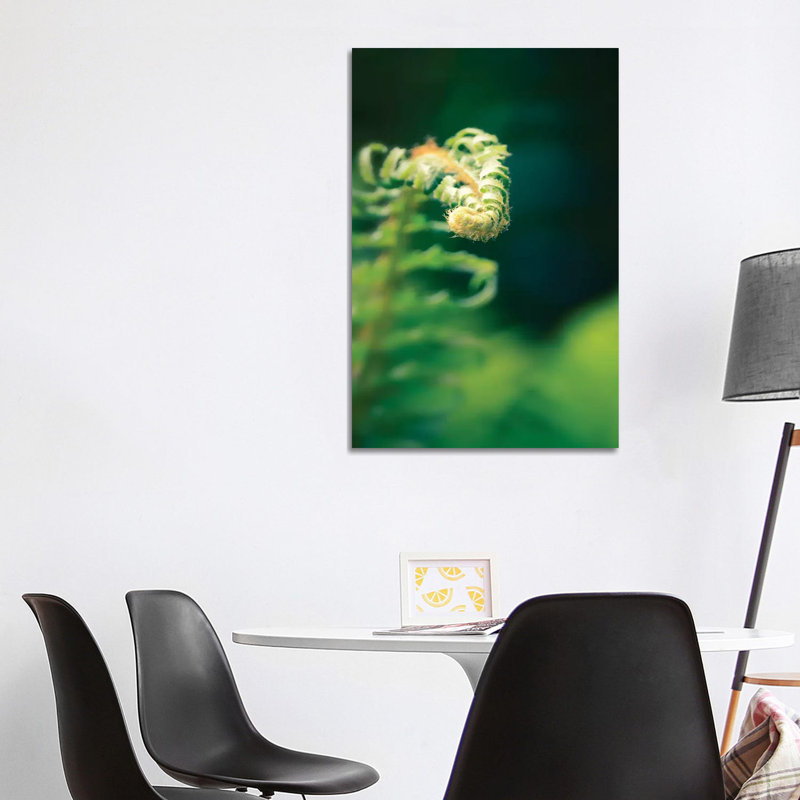 Garden Fern by Savanah Plank - Wrapped Canvas Print, 101.6 cm H x 66.04 cm W x 1.91 cm D