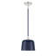 Luminaire suspendu 1 lumière Ellisville-846314268