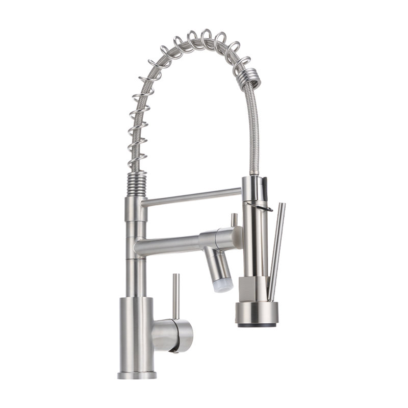 Belfry Kitchen Pull Out Kitchen Faucet, Silver