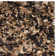 Godsey Shag Hand Woven Performance Solid Color Rug