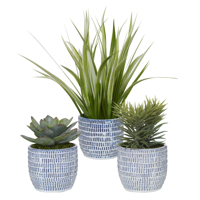 Arquette 16'' Faux Succulent Plant in Ceramic Pot