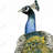 Watercolor Peacock Bohemian Tablecloth | Indoor/Outdoor Decor