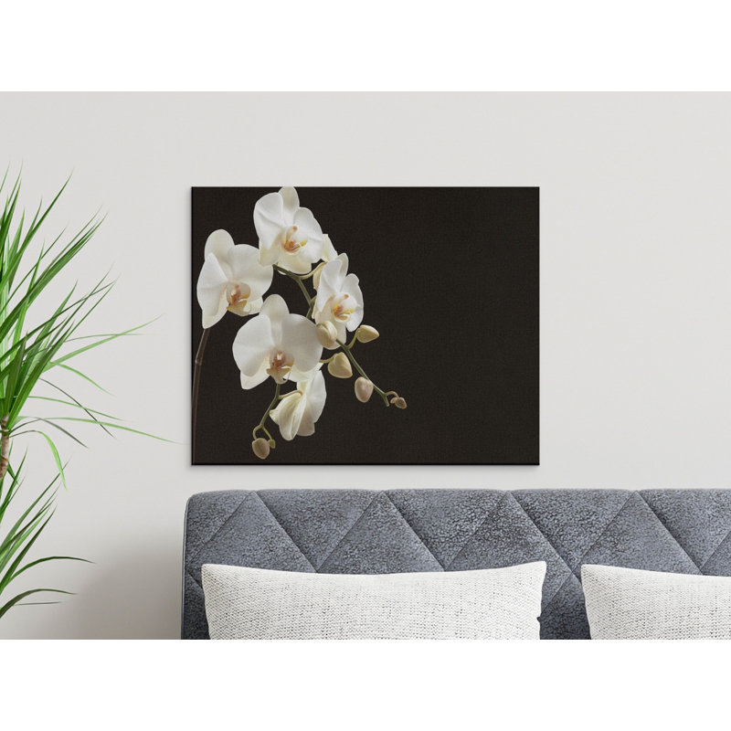 Schoenfeld Wrapped Canvas Print Set, 30x15