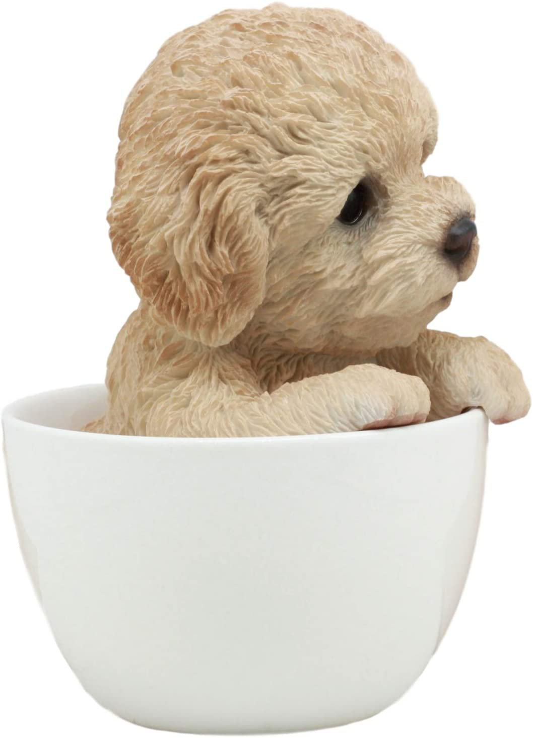 Tic Cup Puppy Mini Puppy Toy Poodle Poodle 