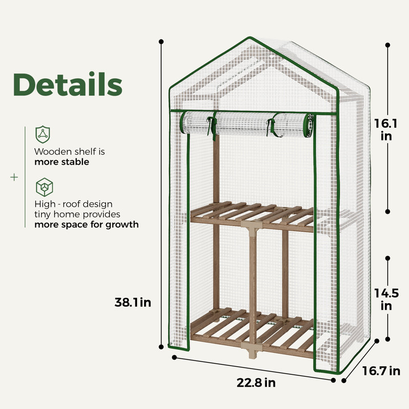 Mini serre portative à 2 niveaux, plante d'hiver recouverte de polyéthylène avec structure en eucalyptus robuste pour les jardins et les cours intérieurs / extérieurs