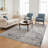 PAYAS Collection Ivory / Grey Traditional Doormat Rug-659192515