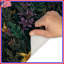 Tapis de bain Tropical-129077462
