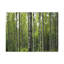 No Frame Print on Canvas-1706869503