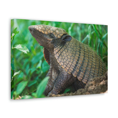 No Frame Print on Canvas