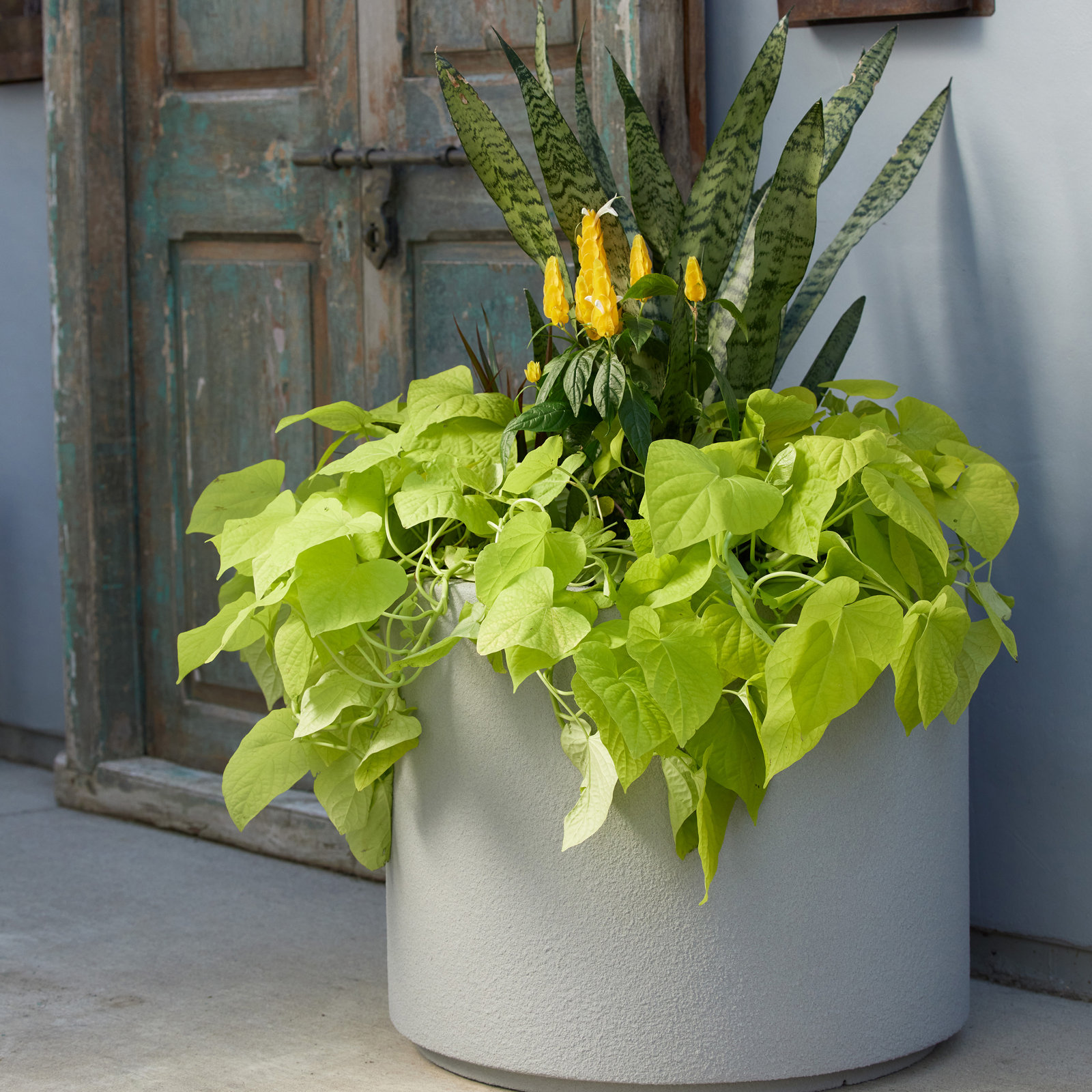 Gita 23" Pot Planter, Concrete Gray
