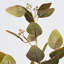 Branche d'eucalyptus artificiel Audet (1 tige)-640572624