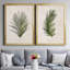 Palm Botanical I - ensemble de 2 photographies sur toile-1425392437-1425392431-1350425250
