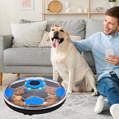 Dog Treat Puzzle Toys Interactive