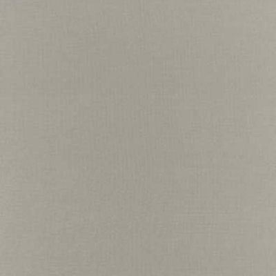 Botticelli Silk Taffeta Fabric