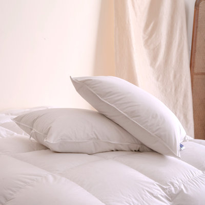 Tencel Natural Cotton Shell 600 Fill Power White Goose Down Cooling Cloud-Like Pillow