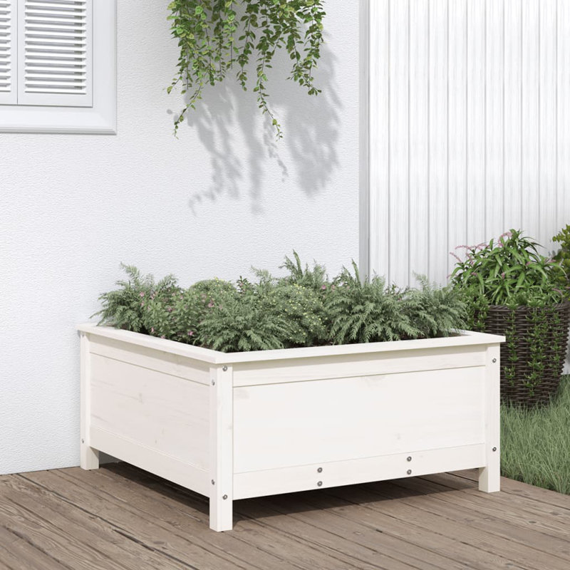 Bojana Wood Pot Planter, White, Pine, 39cm H x 82.5cm W x 82.5cm D