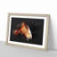 Brown Shire Horse - Framed Print-56917126-56917131