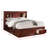 Covertt Solid Wood Bookcase Storage Bed-26241476-26241472