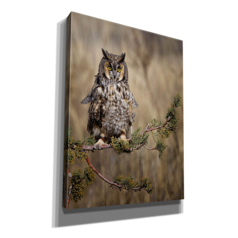 On Canvas Print, 54" H x 40" W x 1.5" D
