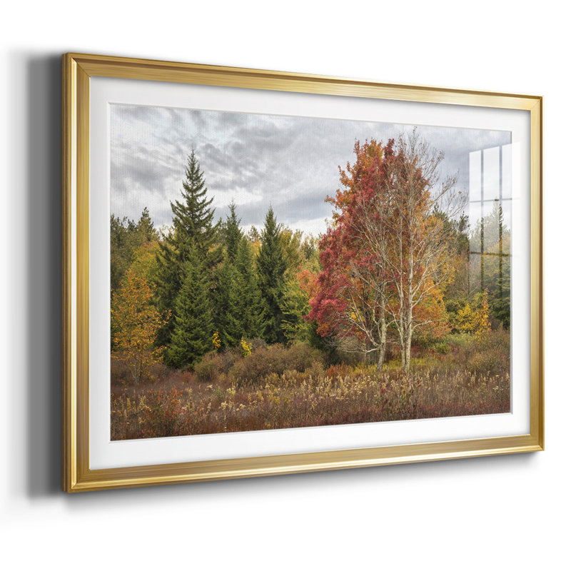 Woodland Variété, impression sur papier encadrée, Or, H 19 po x l 27 po x P 1,5 po