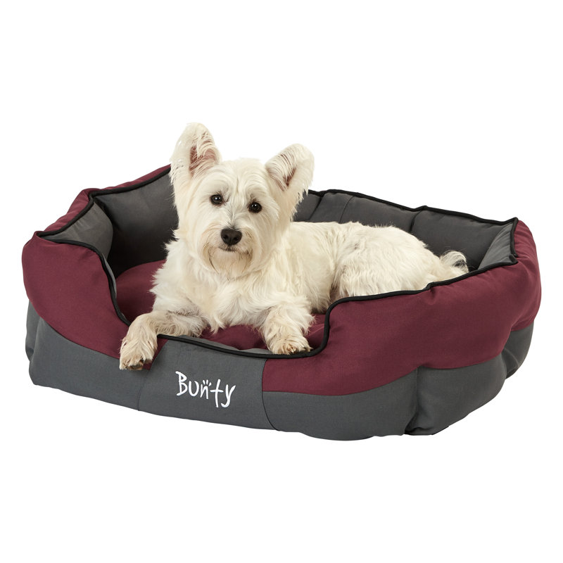 Levesque Polyester Pet Bed, 25cm H x 75cm W x 60cm D, Red