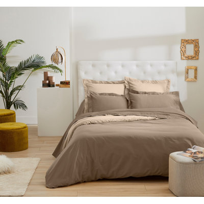 Caymitte 100% Cotton Satin