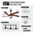 Eichen 52'' Ceiling Fan with LED Lights