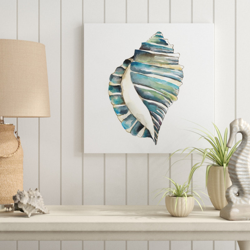Aquarelle Shells I by Chariklia Zarris - Wrapped Canvas Painting, 51cm H x 51cm W