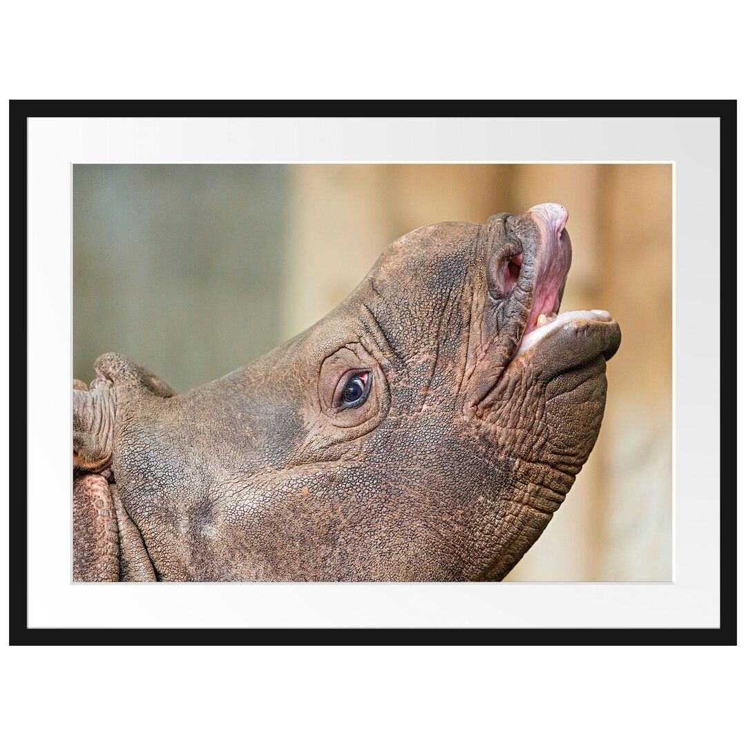 Gerahmtes Poster Kleines Nashorn