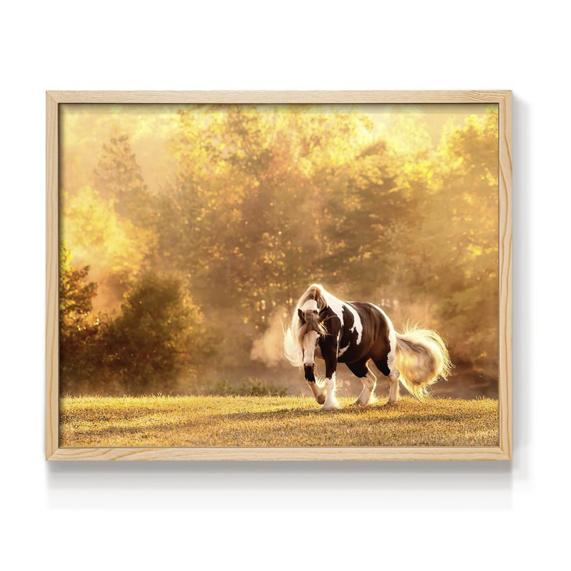 Horse Motion III -Framed Print - Restickable, Naturel, H 8 po x l 10 po