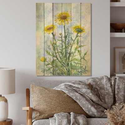 Wild Blossoming Yellow Wild Chamomiles - Traditional Wood Wall Art Print