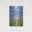 "Fleurs sauvages" par Dennis Frates-1448804139