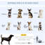 Steel Collapsible Pet Carrier with 1 Door-1698448874-1698448884