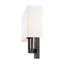 Flaire 2 Light Steel Dimmable Flush Mounted Sconce-1702126679
