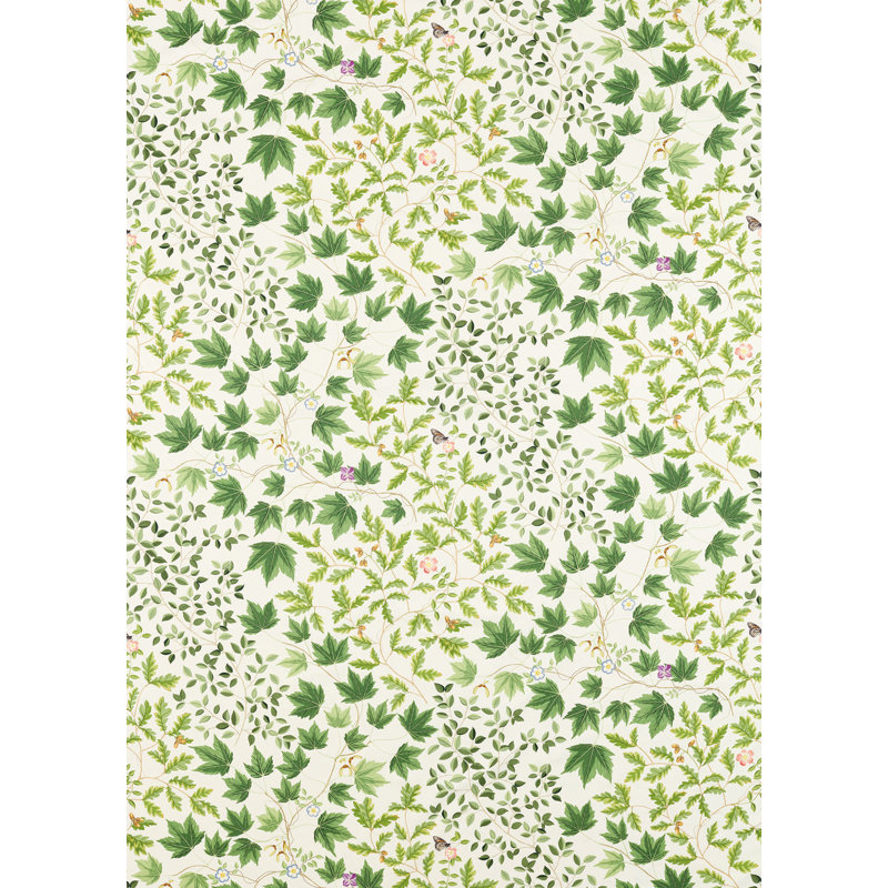 Sycamore and Oak Fabric