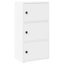 Shanetra 40cm W Bookcase-573105946-573105956