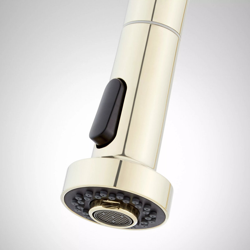 Ridgeway Pull-Down Kitchen Faucet - Polished Brass, Polished Brass