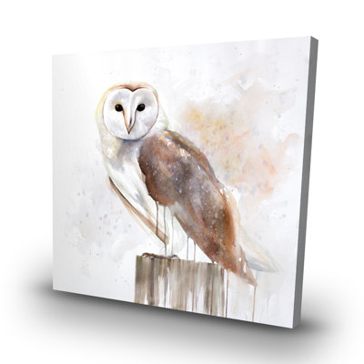 Barn owl - 32"x32" art on canvas