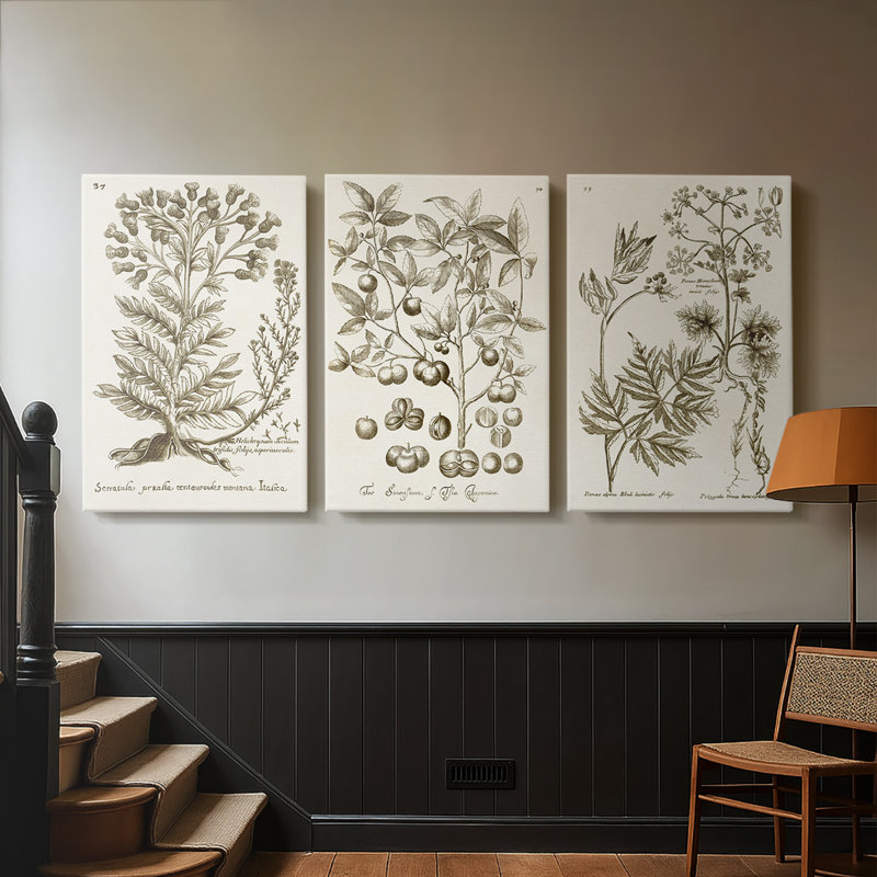 «Sepia Botanical Journal I», toile tendue sur mesure - 3 pièces, H 36 po x l 72 po