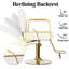 Fauteuil de coiffeur hydraulique à hauteur réglable, fauteuil de salon pivotant, blanc-132049994
