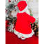 Renne Noël