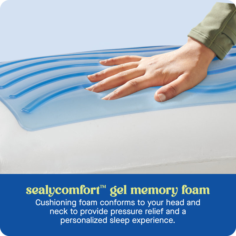 Sealy Dreamlife Standard Memory Foam Gel Pillow